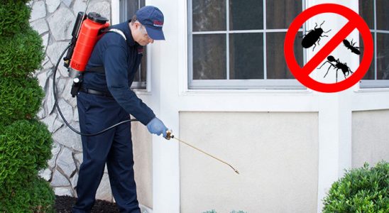Dursunbey Kemirgen İlaçlama böcek ilaçlama ve haşere kontrolü — ilaclama-tr.com